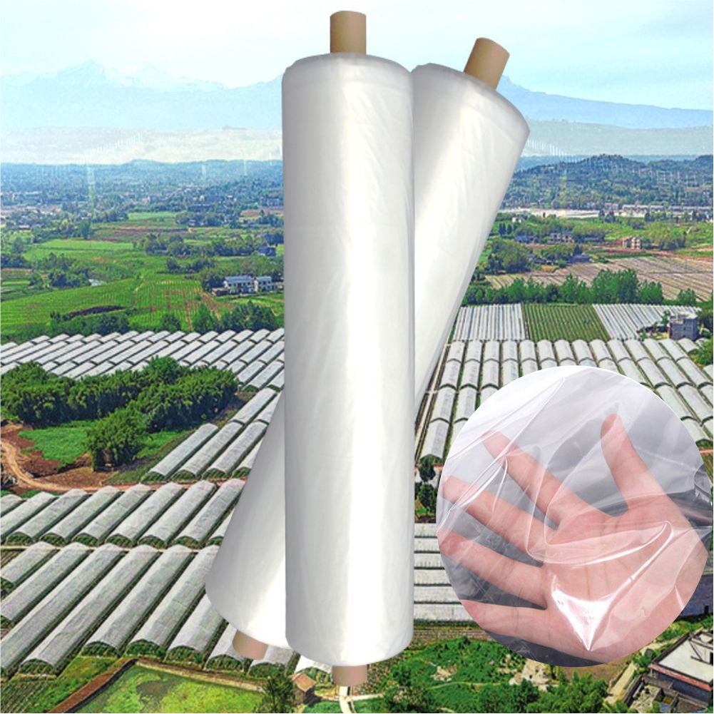 Agricultural Farm Greenhouse P - Greenhouse Plastic Film ulasan dan harga