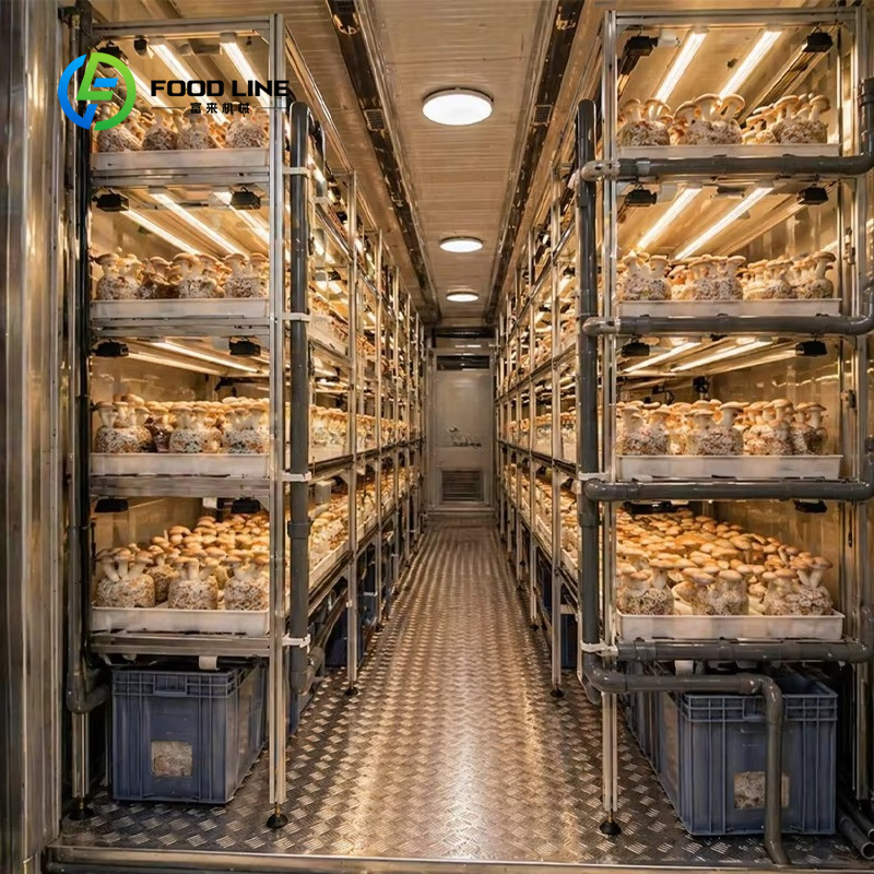 Modular Container Farm for Ind - Hydroponic Farming Agriculture ulasan dan harga