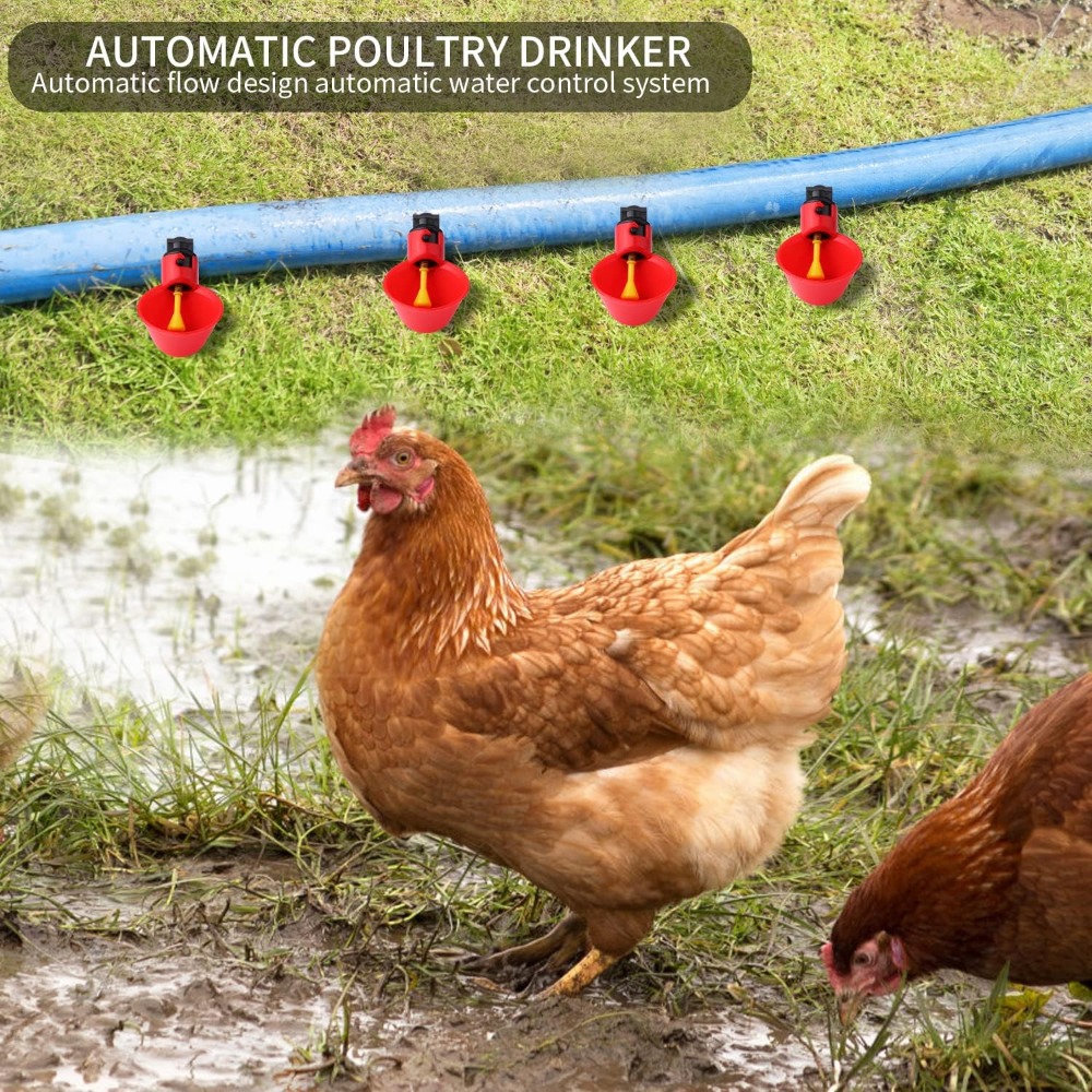 10/20/30pcs Chicken Water Disp - Chicken Nipple Drinker ulasan dan harga