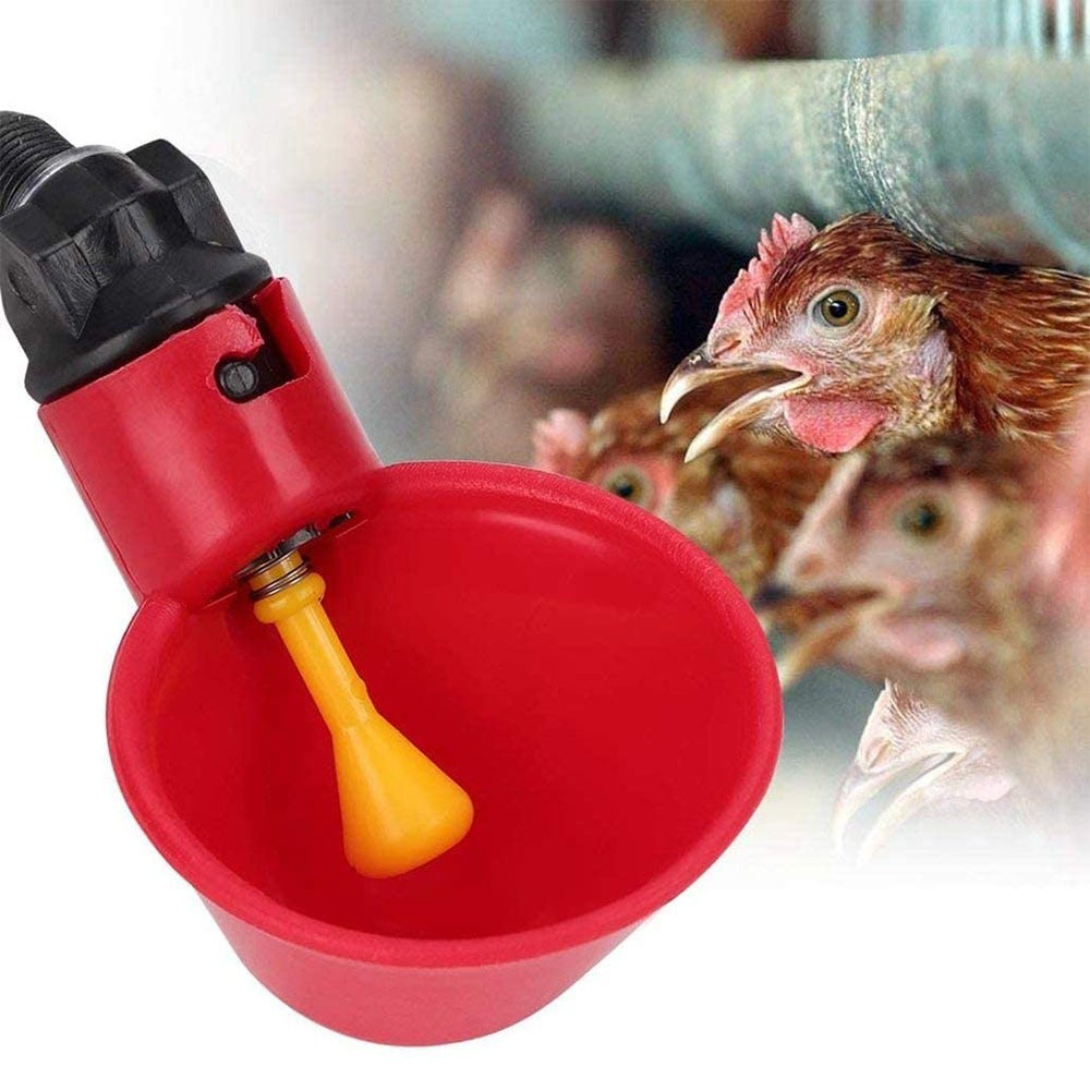 10/20/30pcs Chicken Water Disp - Chicken Nipple Drinker ulasan dan harga