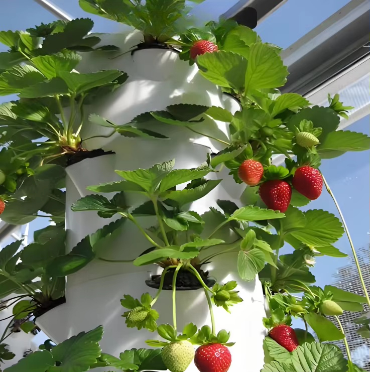 Modular hydroponic growth wall - Hydroponic Farming Agriculture ulasan dan harga