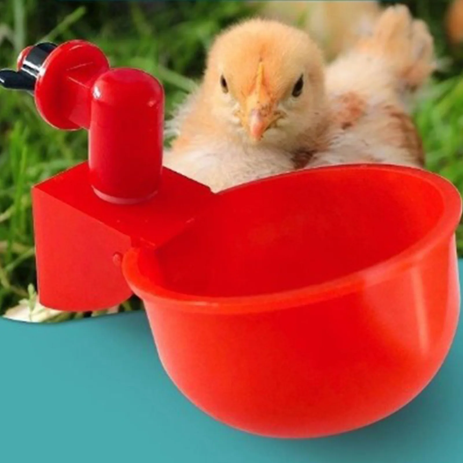 6-36Pcs Chicken Duck Drinking  - Chicken Nipple Drinker ulasan dan harga