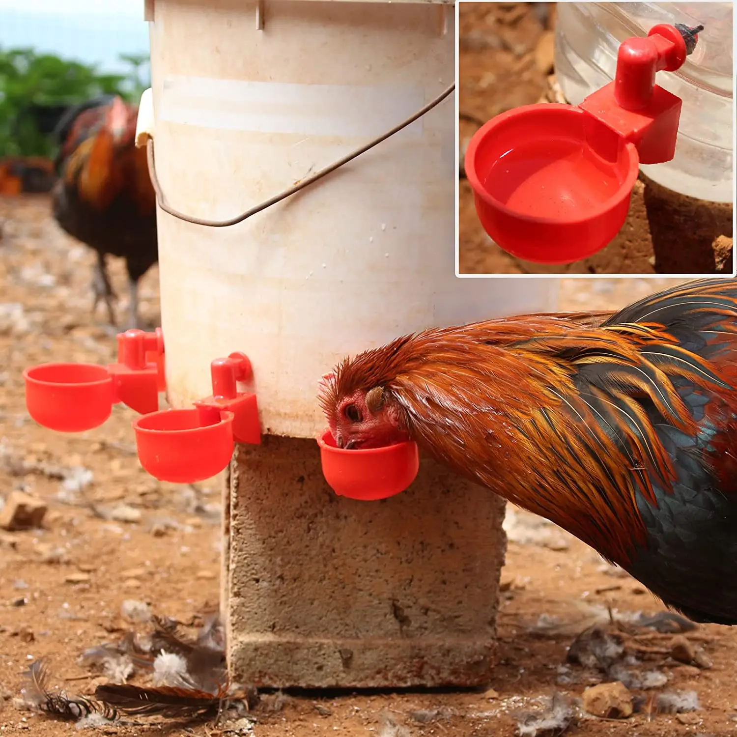6-36Pcs Chicken Duck Drinking  - Chicken Nipple Drinker ulasan dan harga