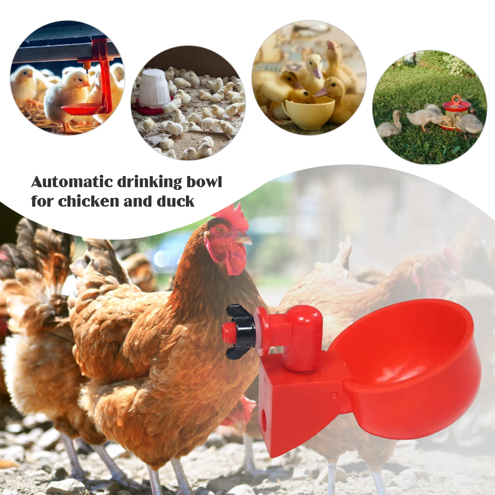 6-36Pcs Chicken Duck Drinking  - Chicken Nipple Drinker ulasan dan harga