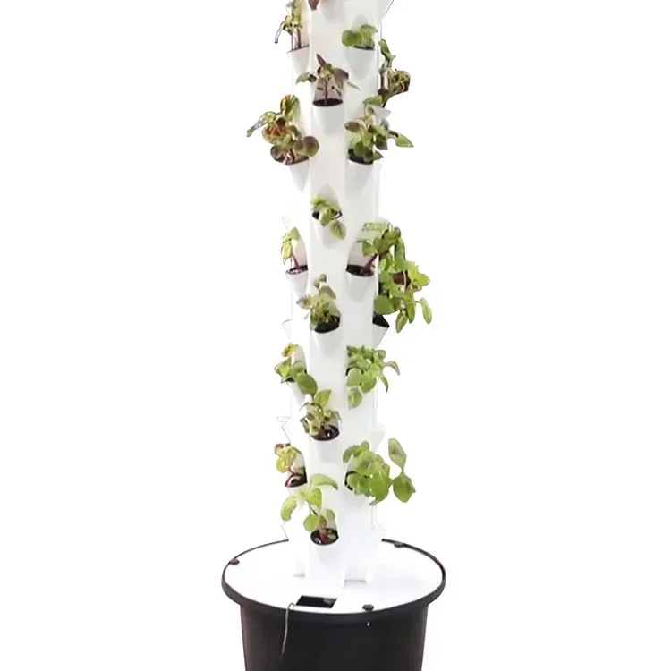High quality agricultural home - Hydroponic Farming Agriculture ulasan dan harga