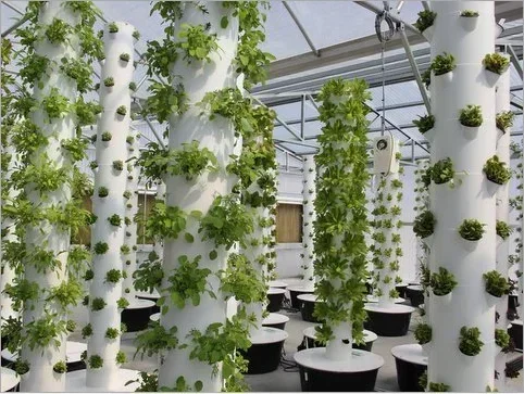 High quality agricultural home - Hydroponic Farming Agriculture ulasan dan harga