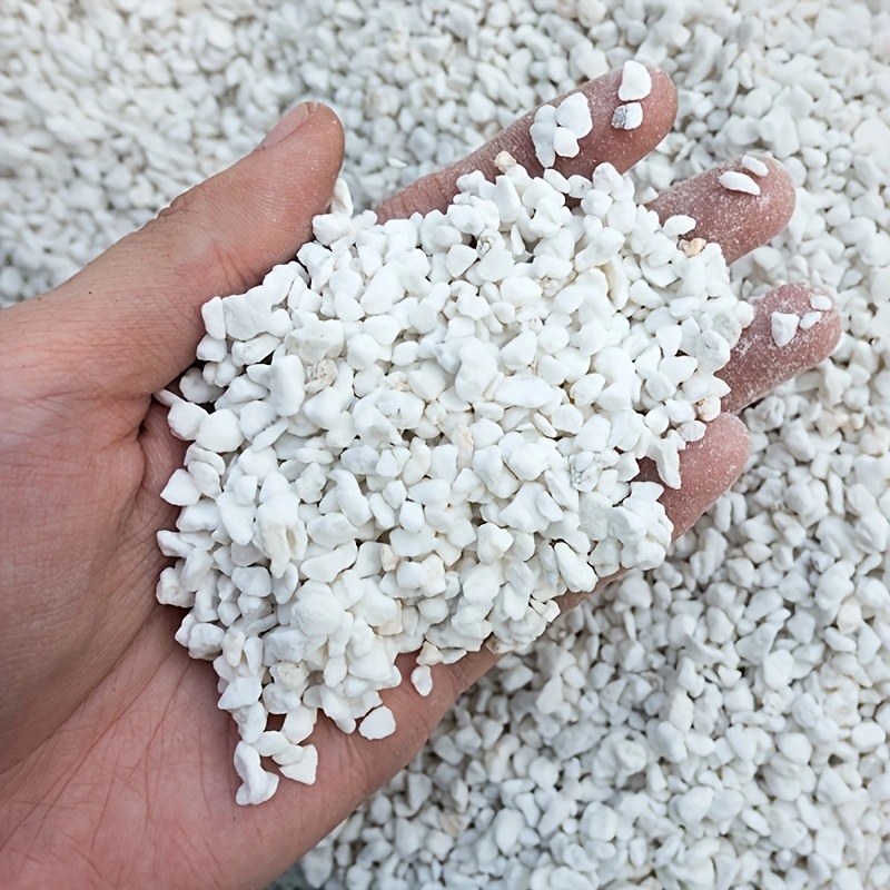 1 Pack of 3-6mm Horticultural  - Horticulture Soil Perlite ulasan dan harga