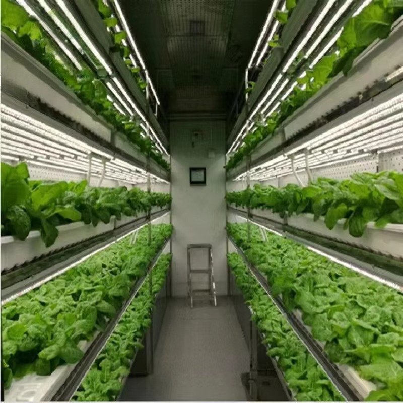 Custom Agricultural Greenhouse - Hydroponic Farming Agriculture ulasan dan harga