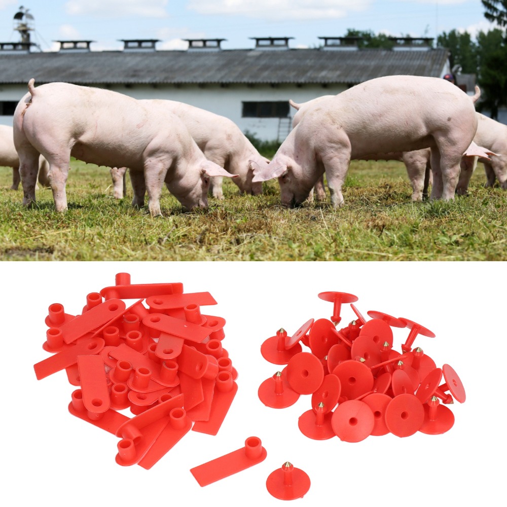 100Pcs Hand-writable Blank Liv - Livestock Ear Tag ulasan dan harga