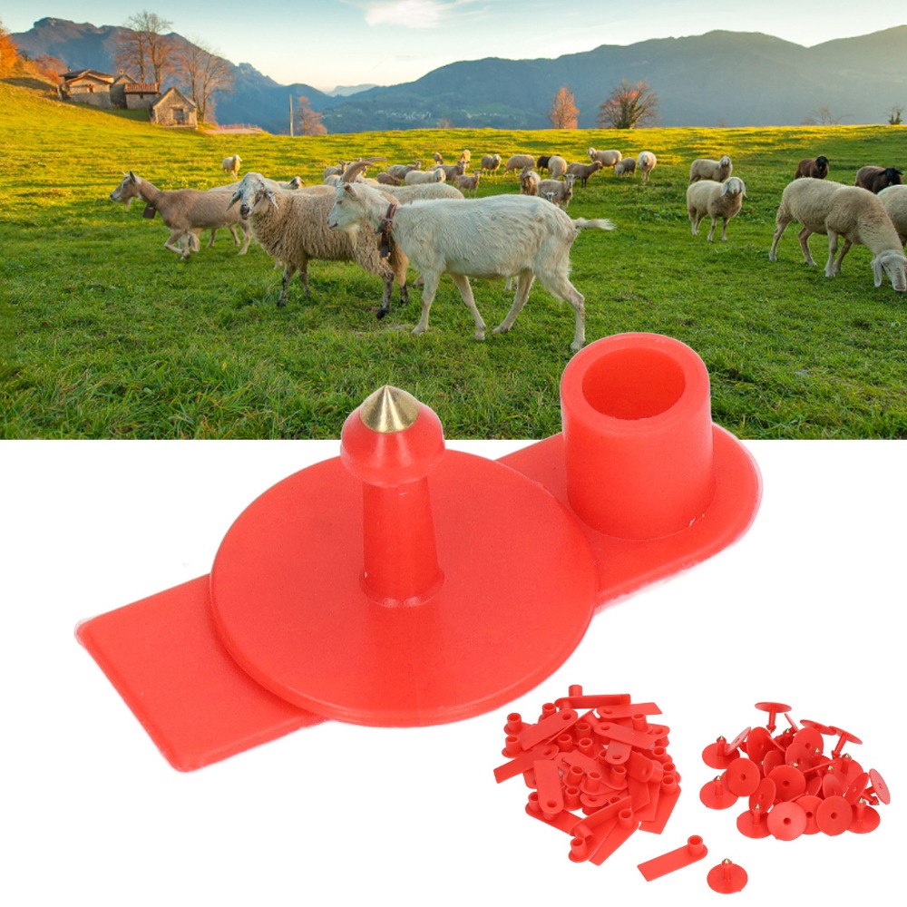 100Pcs Hand-writable Blank Liv - Livestock Ear Tag ulasan dan harga