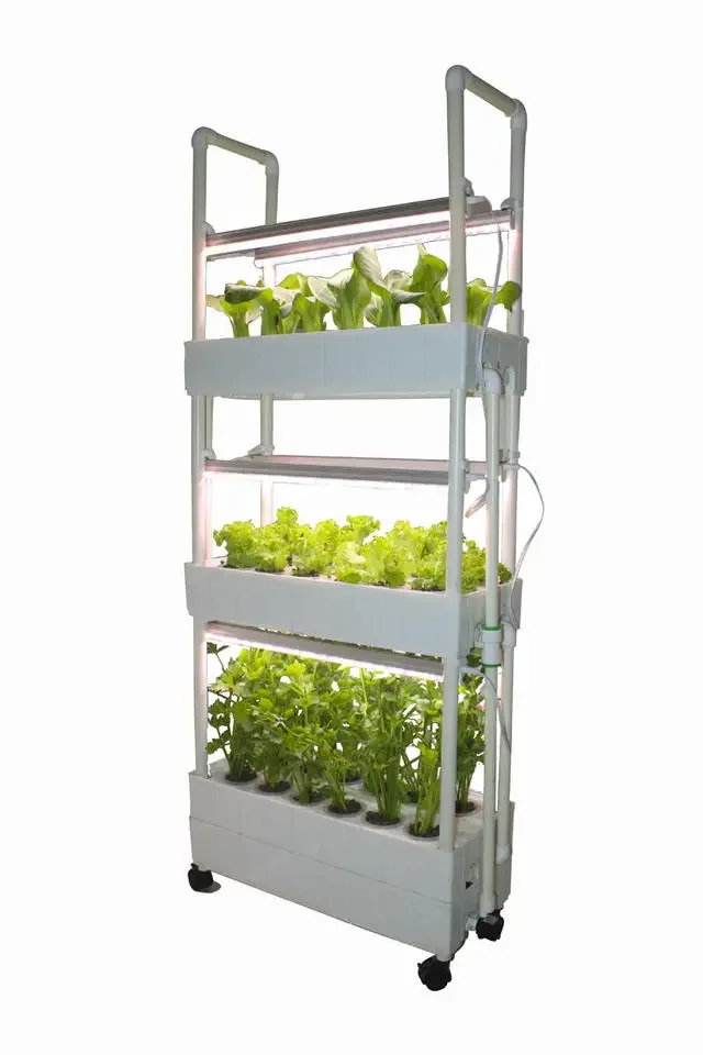 Customization Agriculture hydr - Hydroponic Farming Agriculture ulasan dan harga