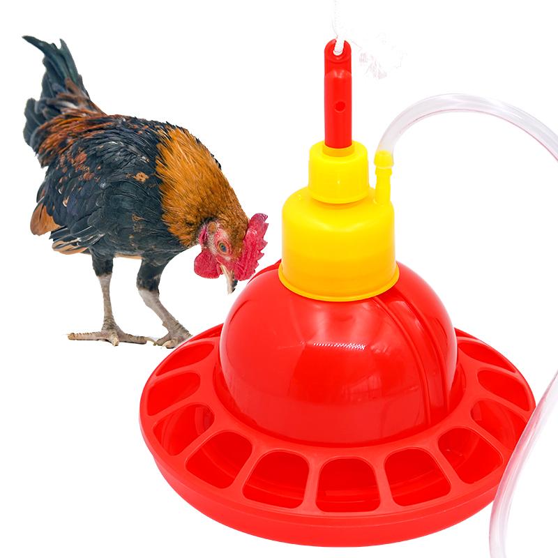 1 Set Chicken Duck Goose Broil - Chicken Nipple Drinker ulasan dan harga