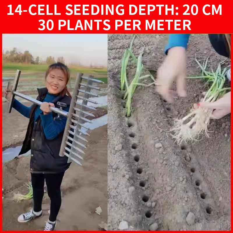 Onion Planter, Rice Transplant - Vegetable Transplanter ulasan dan harga