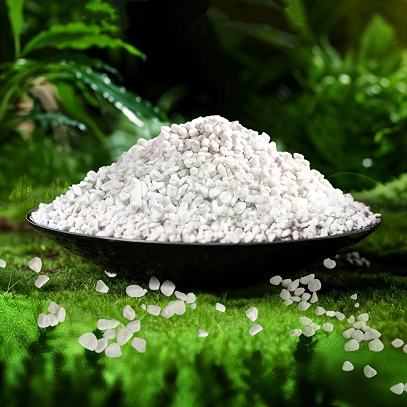 1 Pack of 3-6mm Horticultural  - Horticulture Soil Perlite ulasan dan harga