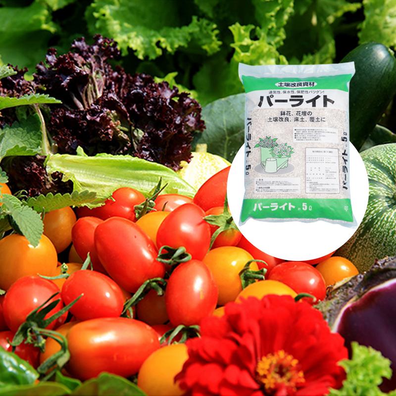 Perlite Bulk For Gardening Hor - Horticulture Soil Perlite ulasan dan harga