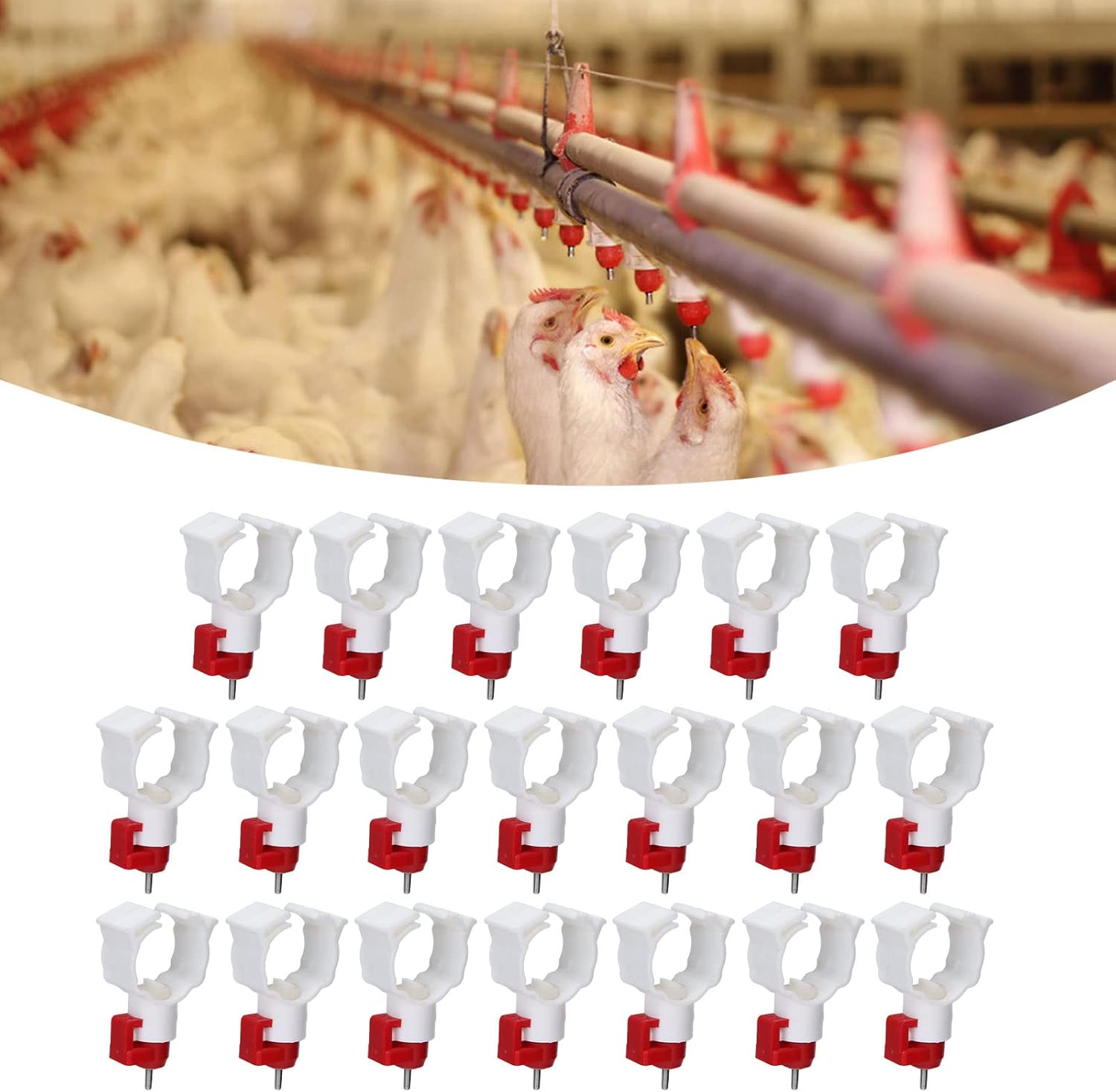 High Quality 20PCS Chicken Nip - Chicken Nipple Drinker ulasan dan harga
