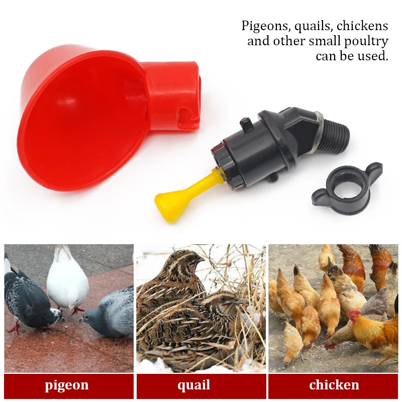 6-36Pcs Chicken Quail Hanging  - Chicken Nipple Drinker ulasan dan harga