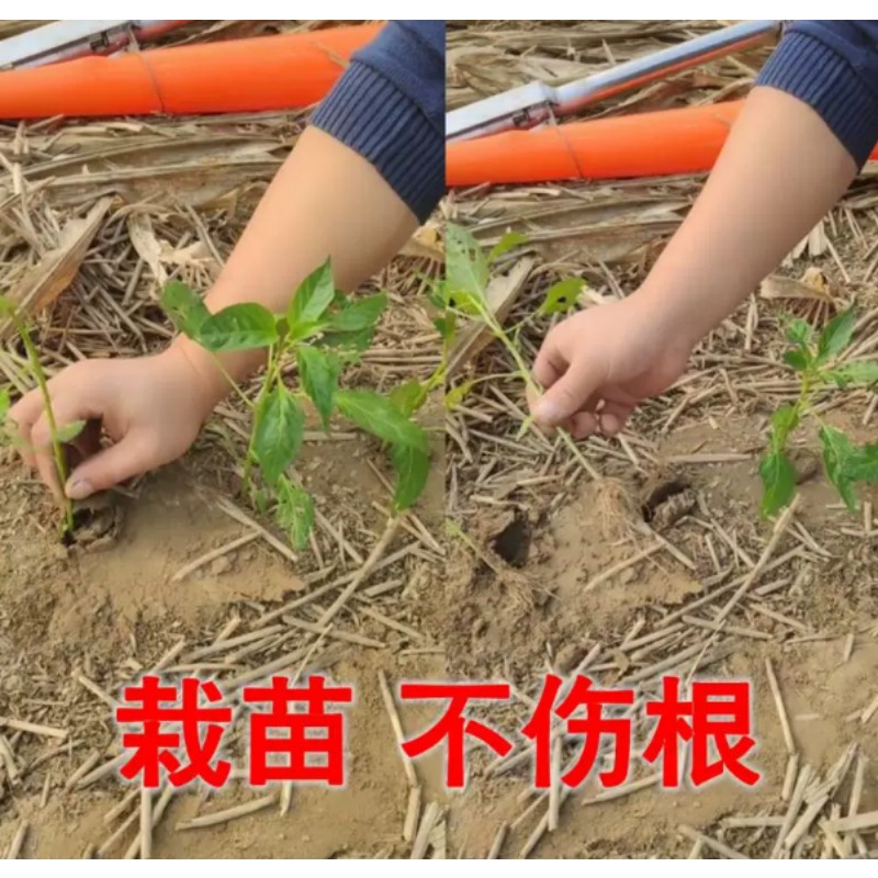 Agricultural Seedling Transpla - Vegetable Transplanter ulasan dan harga