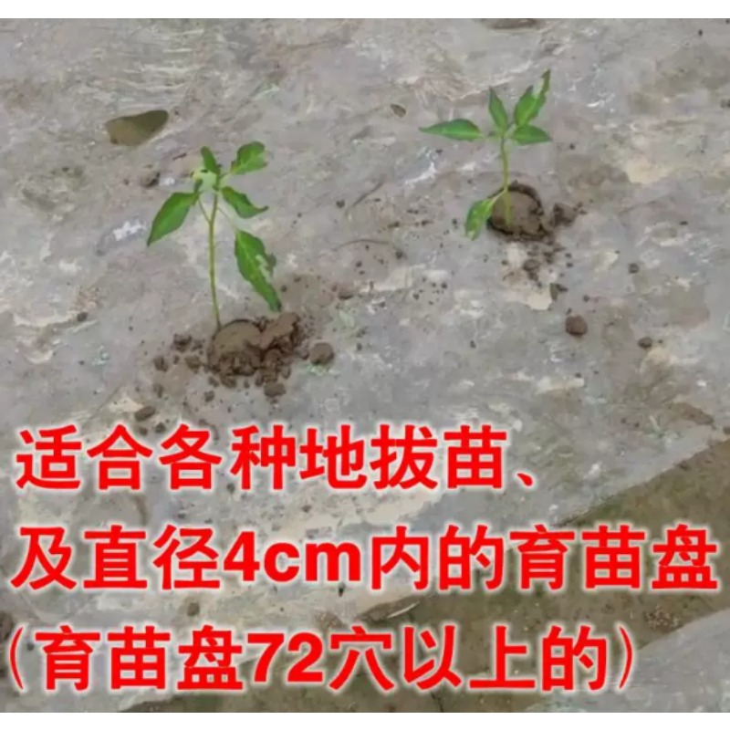Agricultural Seedling Transpla - Vegetable Transplanter ulasan dan harga