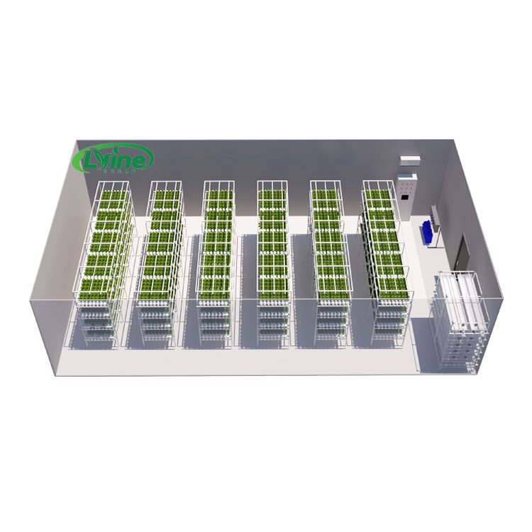 Agricultural Greenhouses Lettu - Hydroponic Farming Agriculture ulasan dan harga