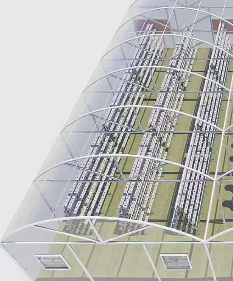 Agricultural Greenhouses Lettu - Hydroponic Farming Agriculture ulasan dan harga