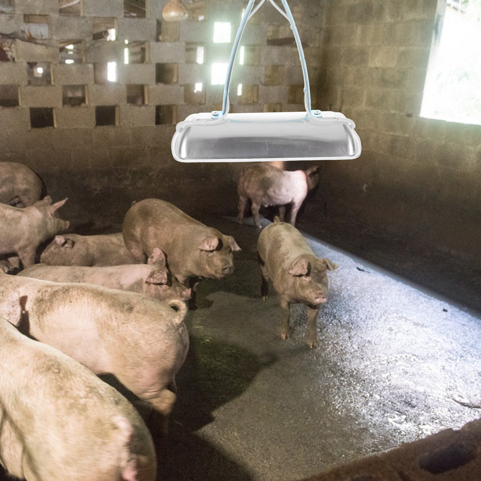 Pig Farm Preservation Lamp Chi - Farming & Agriculture Word Stacks ulasan dan harga