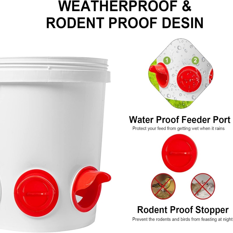 Automatic Gravity Chicken Feed - Chicken Nipple Drinker ulasan dan harga